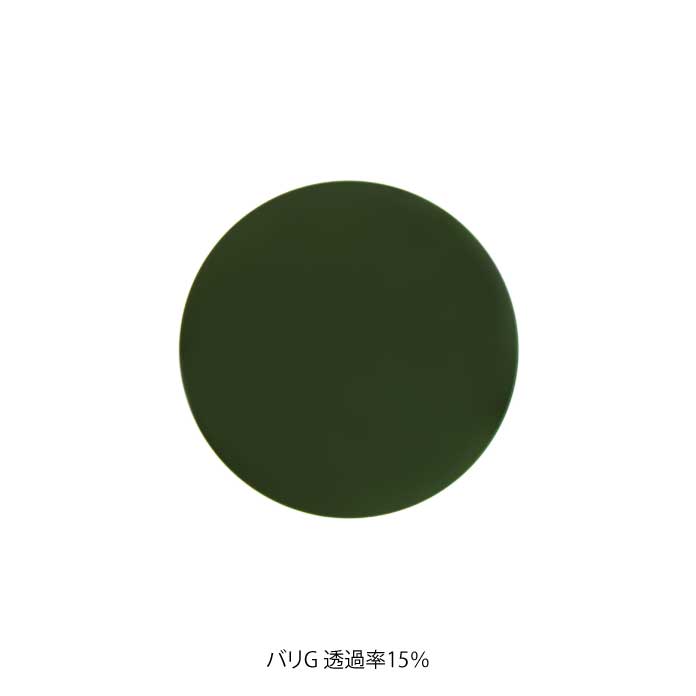 （カスタマイズ）オンライン完結型 レンズ交換サービス [ 度付きレンズ（単焦点or多焦点）/ 遠近両用可 / サングラス /ブルーライトカットレンズ / 薄型非球面 / ＊要眼鏡処方箋 ]