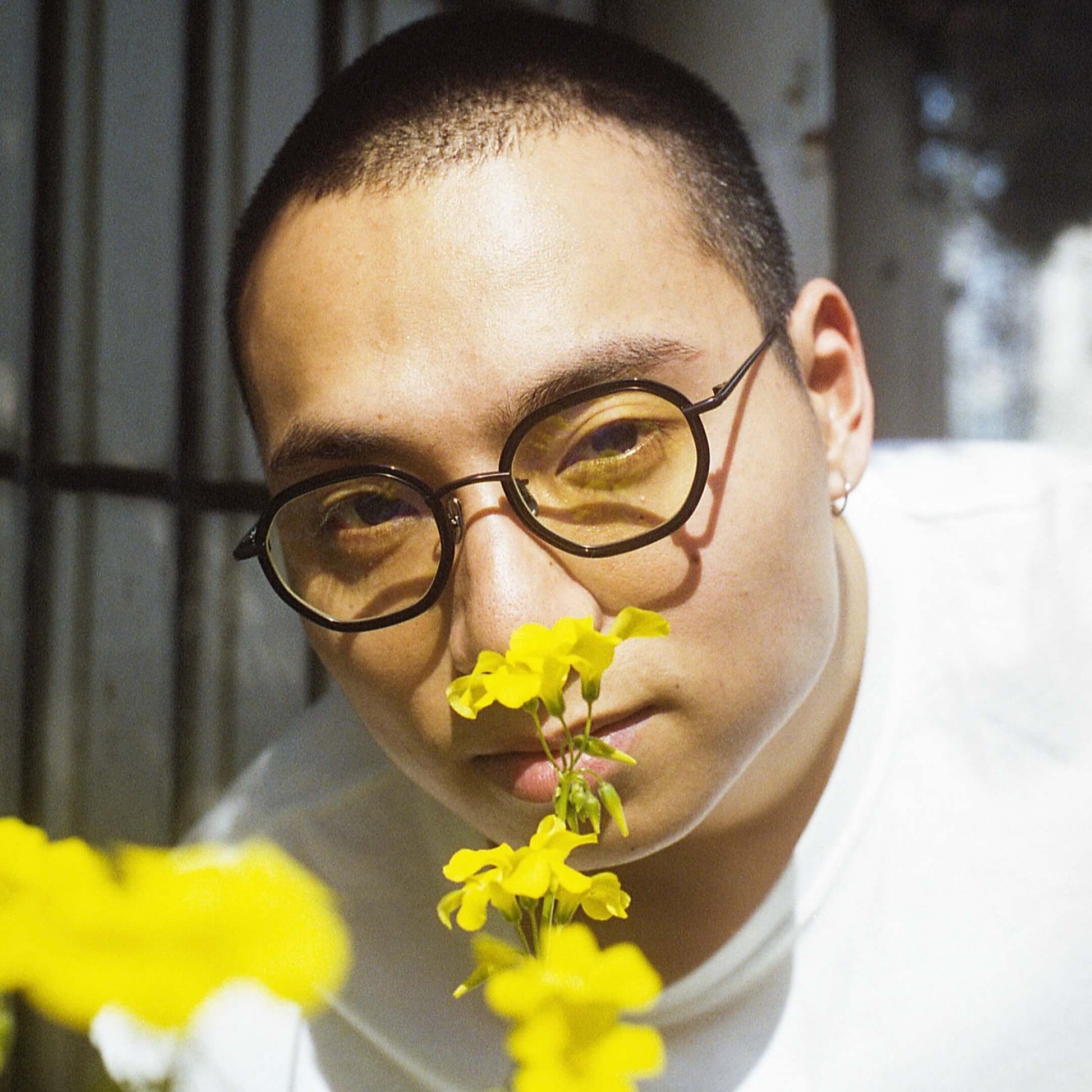 Anemones [Trad 2021]_glass_metronome-eyewear